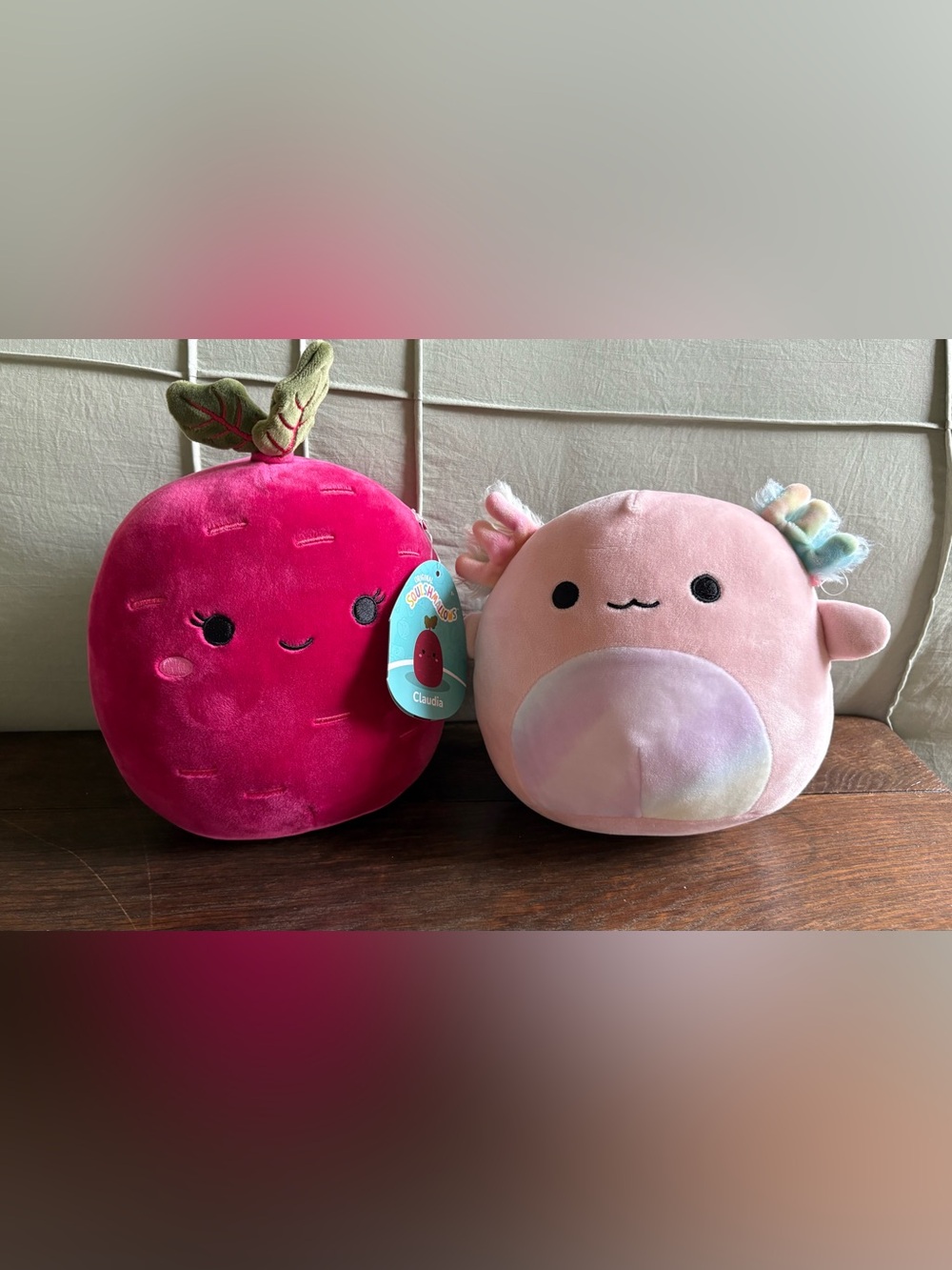 Squishmallow (2 included) Claudia & Archie